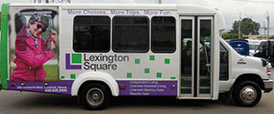 vehicle graphics